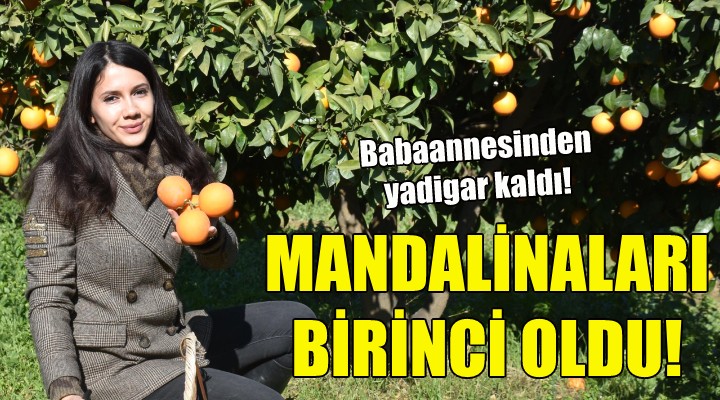 Mandalinaları birinci oldu!