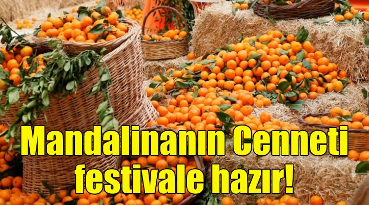 Mandalinanın Cenneti festivale hazır!