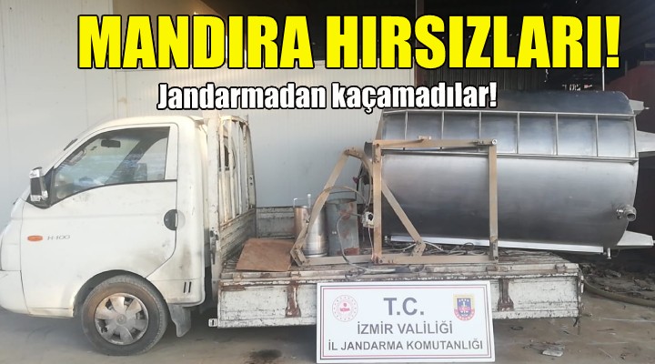 Mandıra hırsızlarına suçüstü!