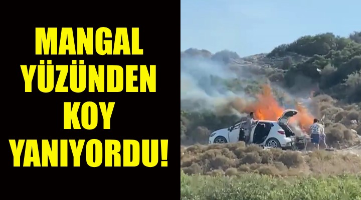 Mangal yüzünden koyu yakıyorlardı!