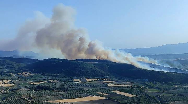 Manisa da kontrol altına alınan orman yangını yeniden başladı