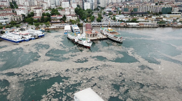 Marmara da felaket  geliyorum  demiş!