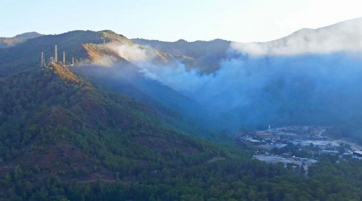 Marmaris te orman yangını!