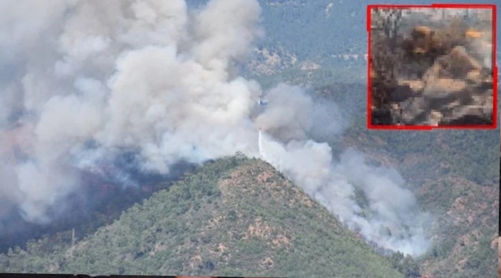 Marmaris te orman yangını: Ceset nedeniyle çıkmış!