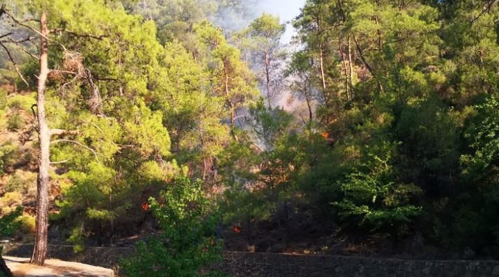 Marmaris te yine yangın... THK uçakları havalandı!