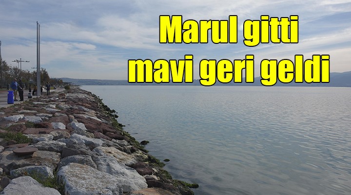 Marul gitti, mavi geri geldi