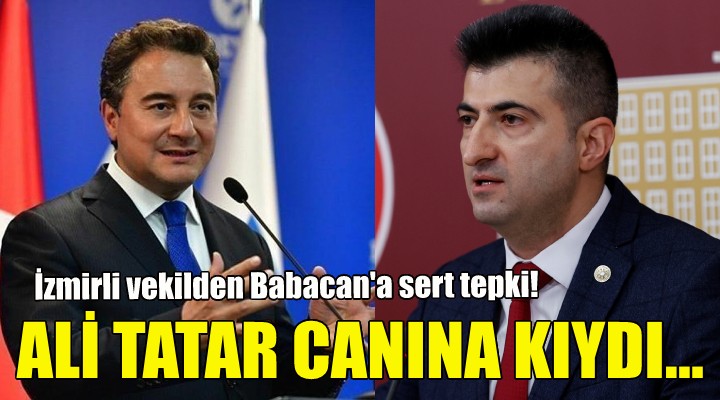 Mehmet Ali Çelebi den Ali Babacan a sert tepki!