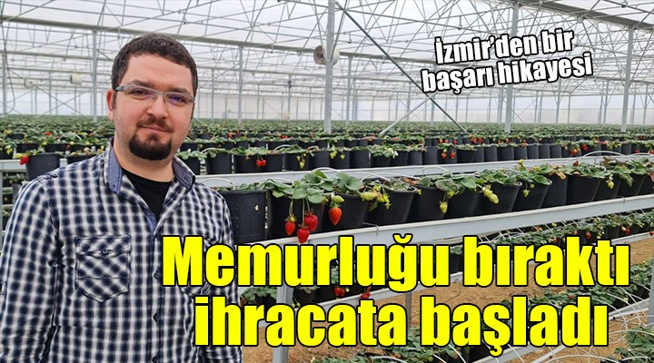 Memurluğu bıraktı, 4 ülkeye çilek ihracatına başladı!