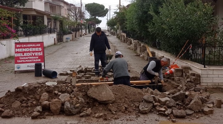 Menderes sahillerinde hummalı çalışma!