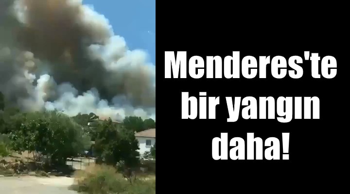 Menderes te bir orman yangını daha!