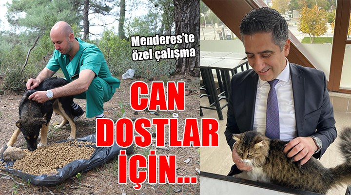 Menderes te can dostlar için özel çalışma