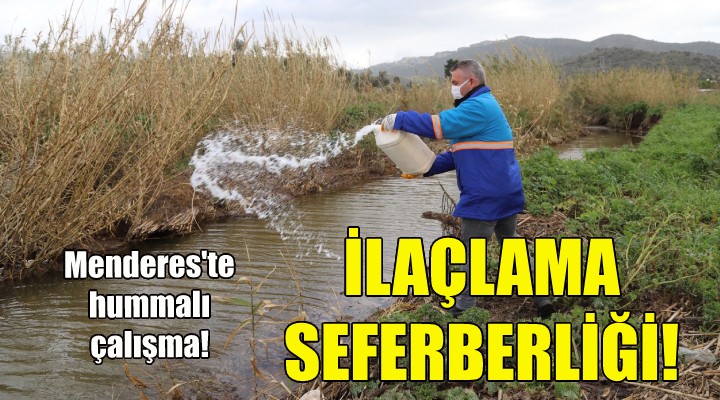 Menderes te ilaçlama seferberliği!