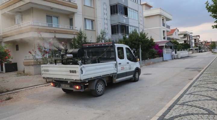 Menderes te ilaçlama seferberliği!