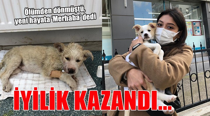 Menderes te iyilik kazandı...