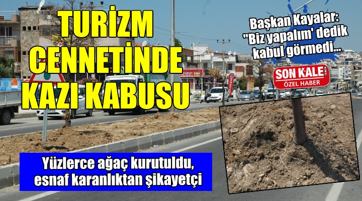 Menderes te kazı kabusu... Yüzlerce ağaç kurudu, esnaf karanlıkta!