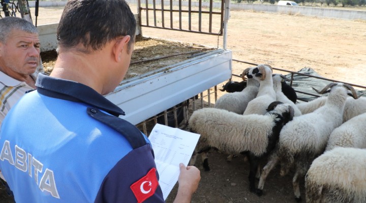 Menderes te kurban denetimi...