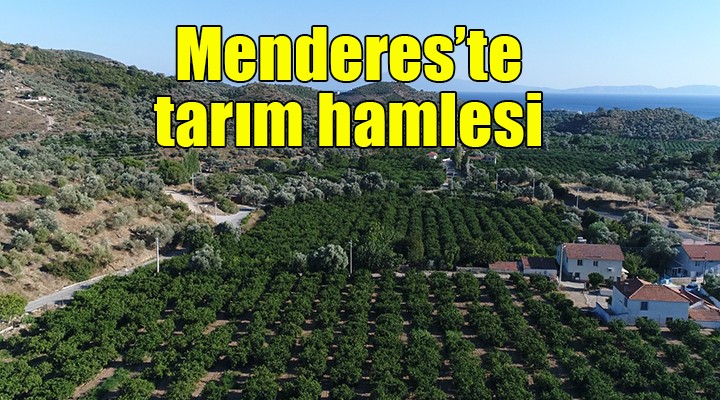 Menderes te tarım hamlesi...