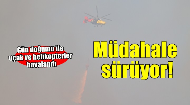 Menderes ve Seferihisar da müdahale sürüyor...