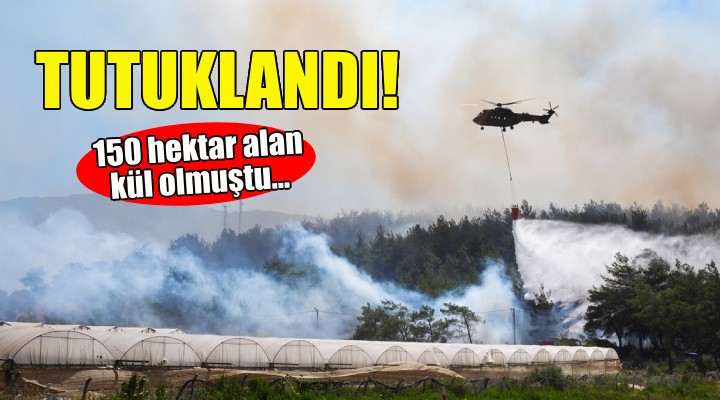 Menderes yangınıyla ilgili 1 kişi tutuklandı!