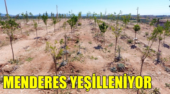 Menderes yeşilleniyor