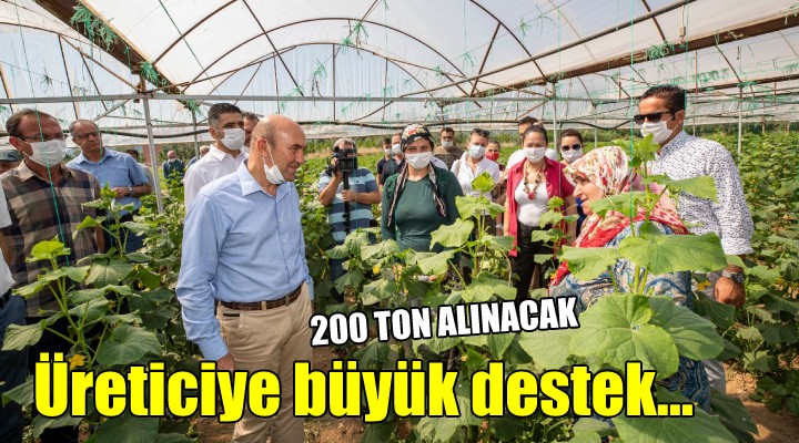 Menderesli üreticilere büyük destek... 200 ton alınacak!