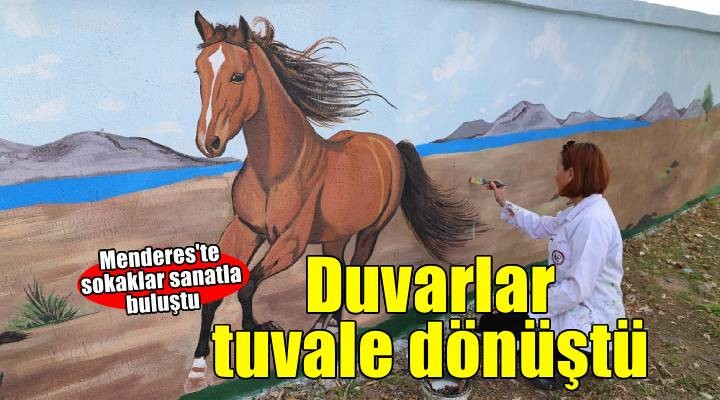 Menderes’te Akçaköy’ün duvarları tuvale dönüştü