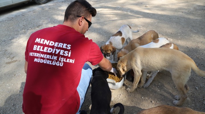 Menderes’te can dostlar emin ellerde