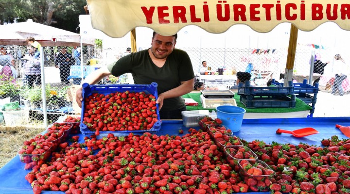 Menemen de çilek festivali