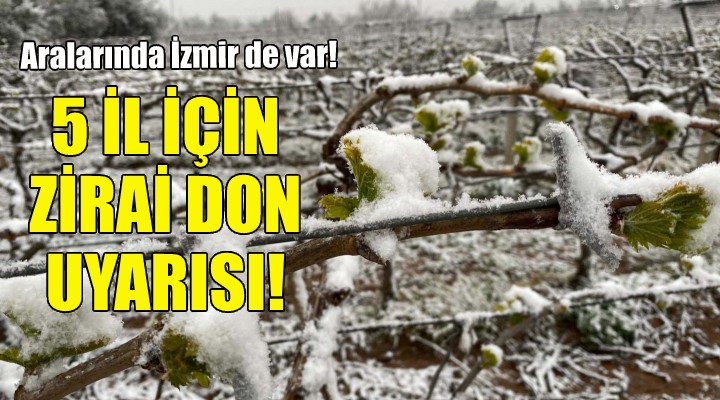 Meteorolojiden zirai don uyarısı!