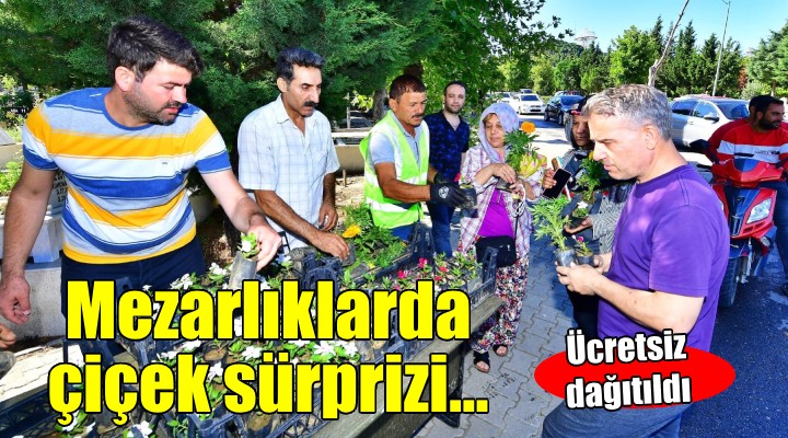 Mezarlıklarda çiçek sürprizi...