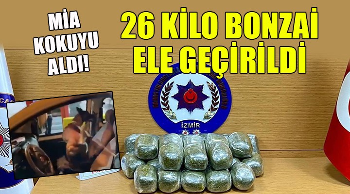 Mia kokuyu aldı, 26 kilo bonzai ele geçirildi