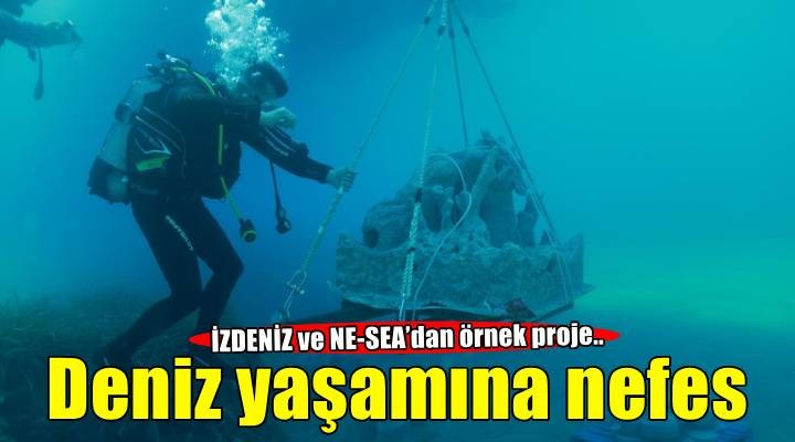 Midye kabukları deniz yaşamına nefes olacak