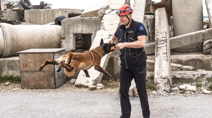 Momo enkaz için eğitiliyor