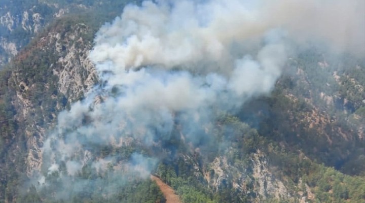 Muğla da orman yangını!