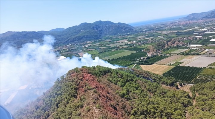 Muğla da orman yangını paniği!