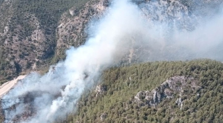 Muğla da orman yangını!