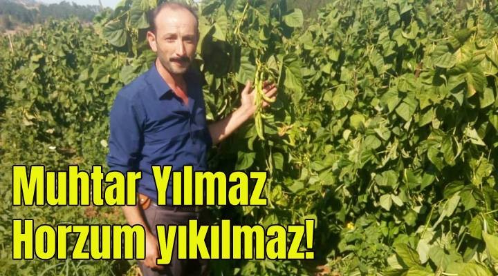 Muhtar Yılmaz, Horzum yıkılmaz