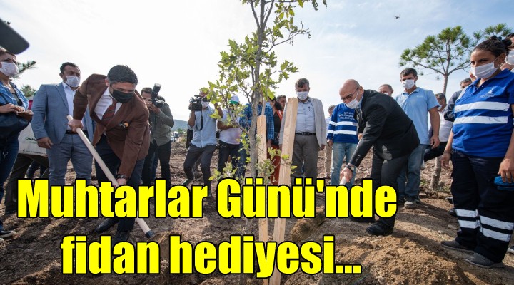 Muhtarlar Günü nde fidan hediyesi!