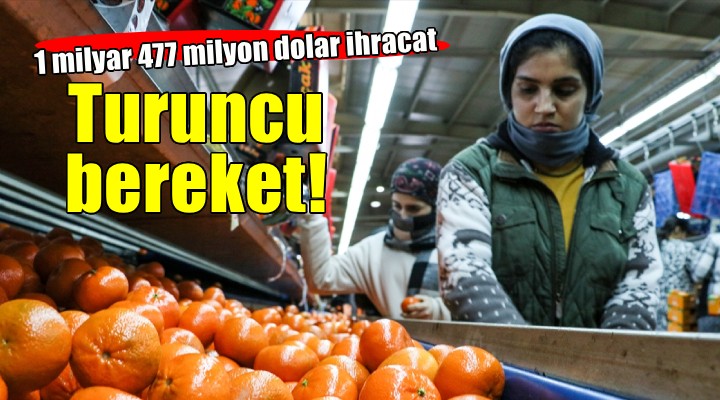 Narenciyeden 1 milyar 477 milyon dolar!