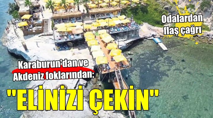 Odalardan flaş çağrı:  Karaburun dan ve Akdeniz foklarından elinizi çekin 