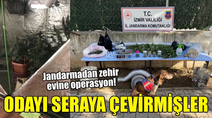 Odayı uyuşturucu serasına çevirmişler!