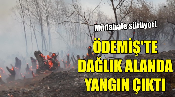 Ödemiş te dağlık alanda yangın çıktı!