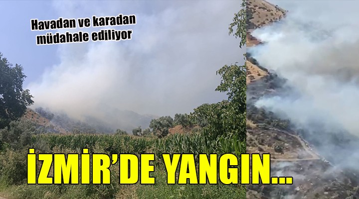 Ödemiş te makilik yangını...