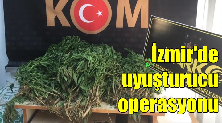 İzmir de uyuşturucu operasyonu