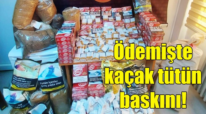 Ödemişte kaçak tütün baskını!