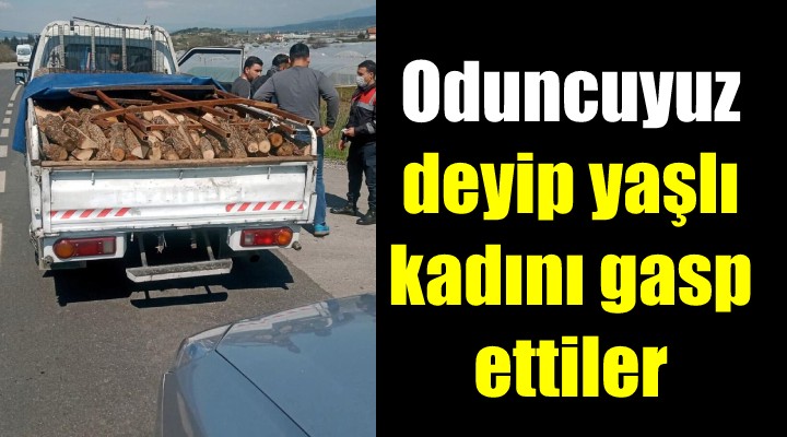 Oduncuyuz diye gelip yaşlı kadını gasp ettiler