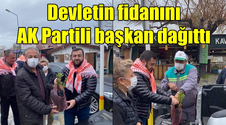 Orman İşletmenin fidanlarını AK Partili başkan dağıttı