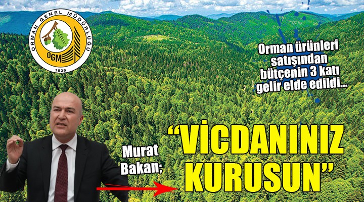 Orman ürünleri satışından bütçenin 3 katı gelir elde edildi...