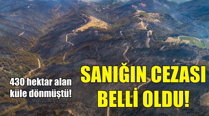 Orman yangını sanığının cezası belli oldu!