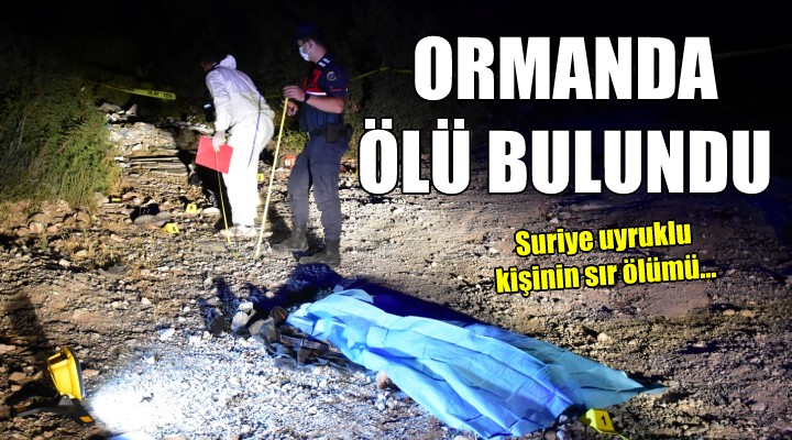 Ormanda ölü bulundu!